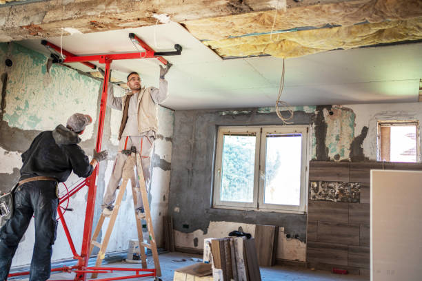 Best Residential Insulation in Conehatta, MS